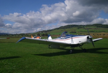 DSCI03951