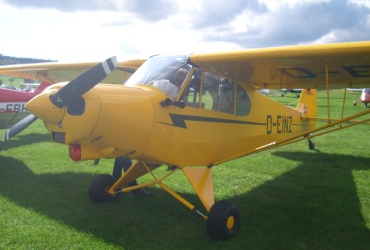 DSCI04231