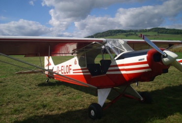 DSCI04331
