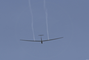MG78711
