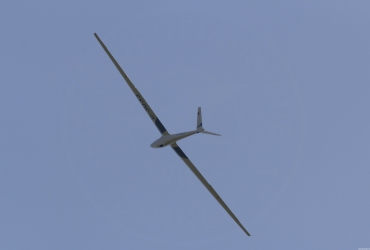 MG79171