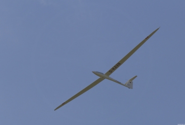 MG79271