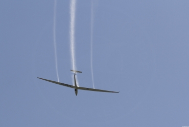 MG79561