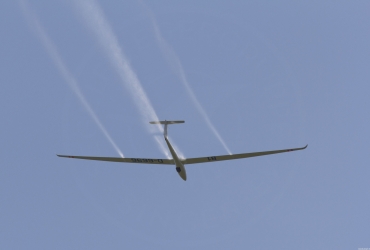 MG79621