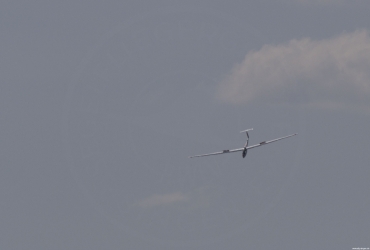 MG80281