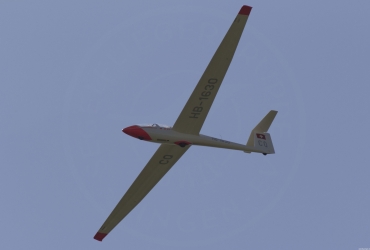 MG80901