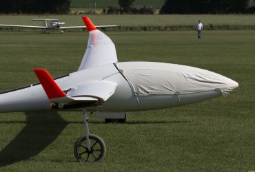 MG81931