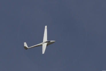 MG83881