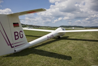 MG85481