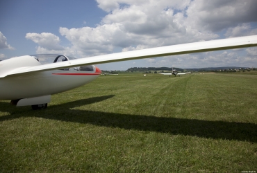 MG85541