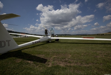 MG86141