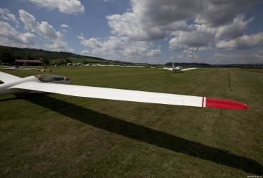 MG86421