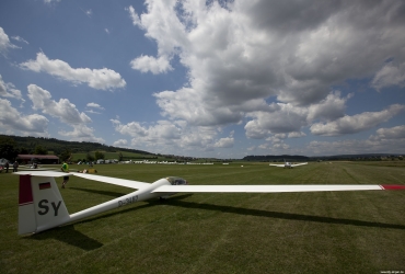 MG86441