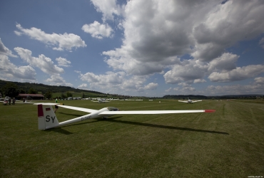MG86481