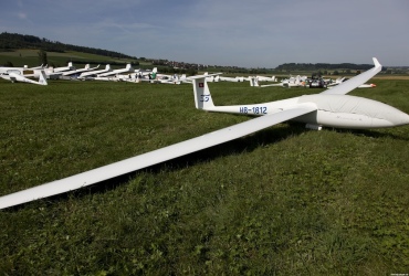 MG88771
