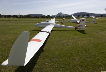 MG89081