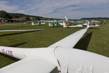 MG89791