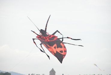 P9170070