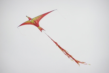 P9170080