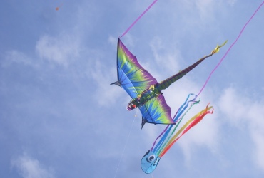 DSCI03011