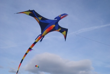 DSCI03411