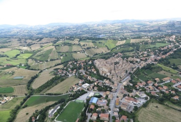 IMG06251