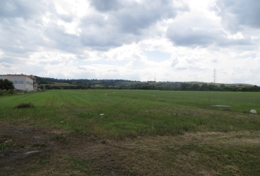 IMG06721