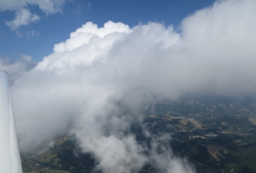 IMG07791