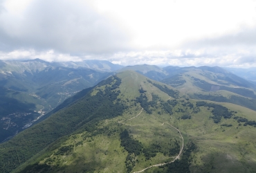 IMG09451