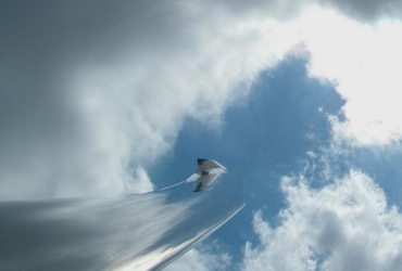 DSCF1552