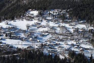 IMG78771
