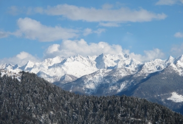 IMG78831
