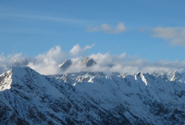 IMG78931
