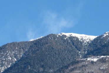 IMG79551