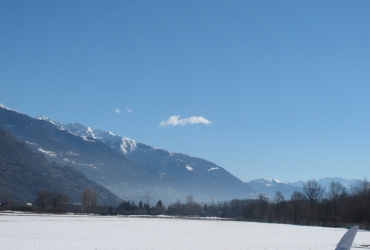 IMG79601
