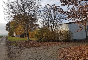 FlugplatzHerbst1