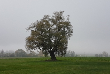 FlugplatzHerbst6