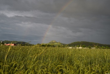 HohentwielRegenbogen